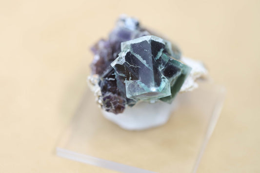 フローライト h00001